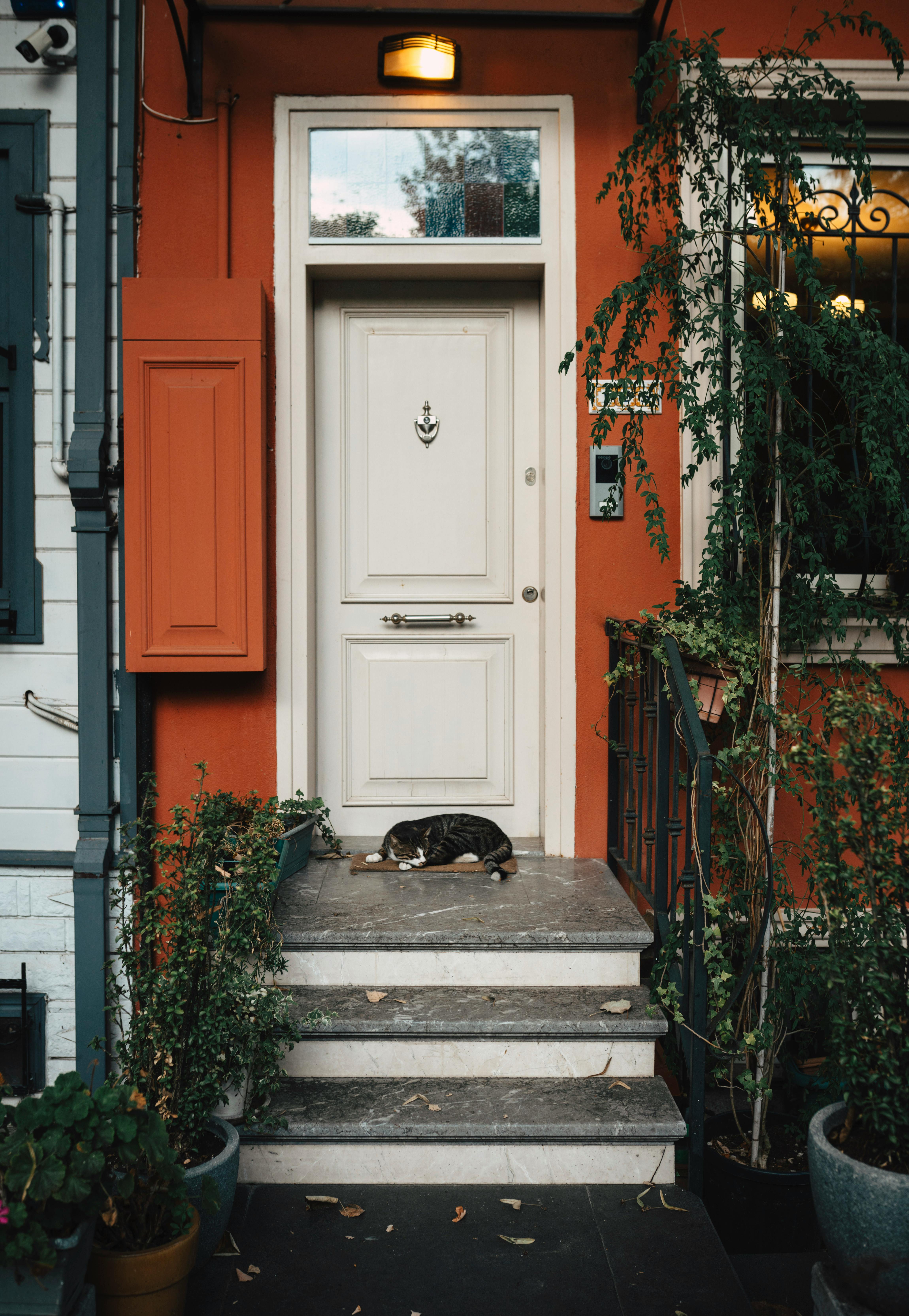 A cozy house entrance featuring a sleeping cat amidst lush greenery and a vibrant orange facade.