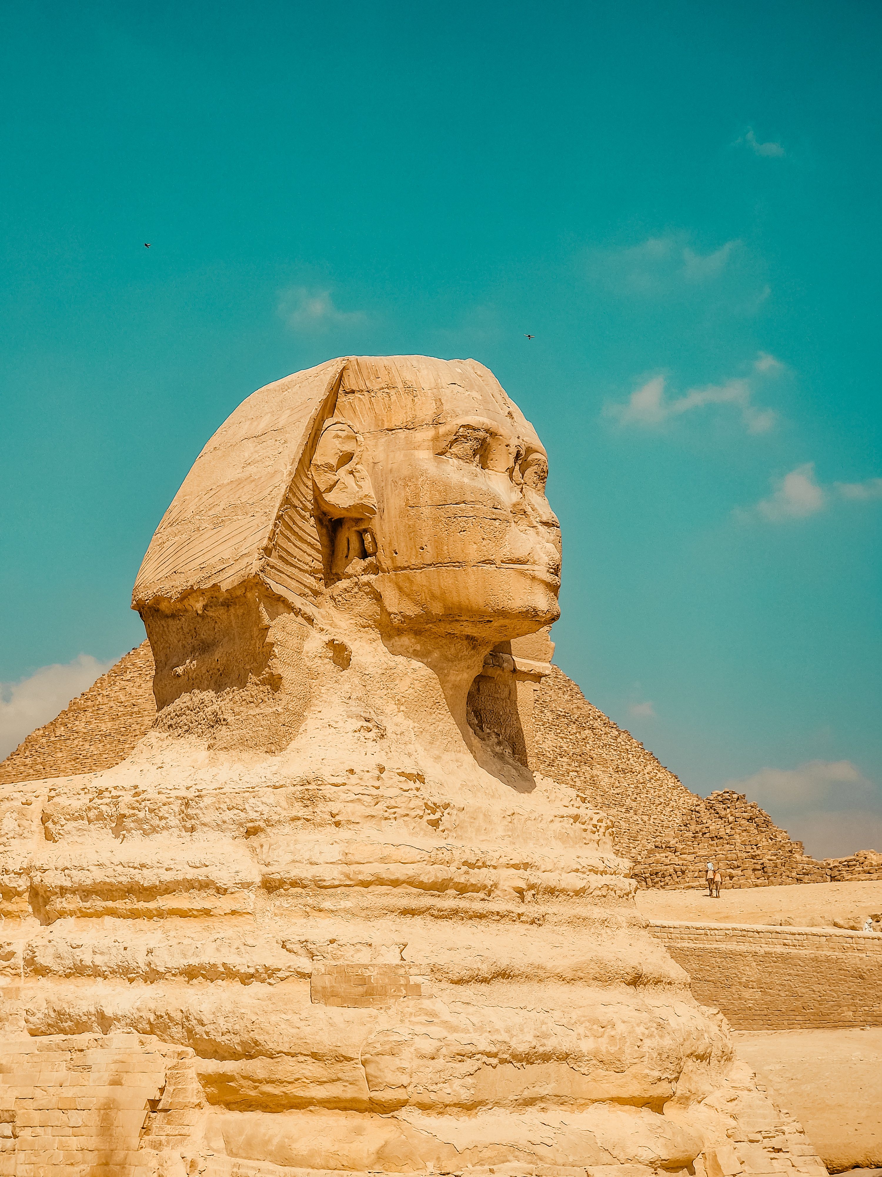 Great Sphinx and Pyramid in Cairo Egypt · Free Stock Photo
