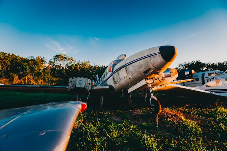 White Airplane Parked Near Green Trees