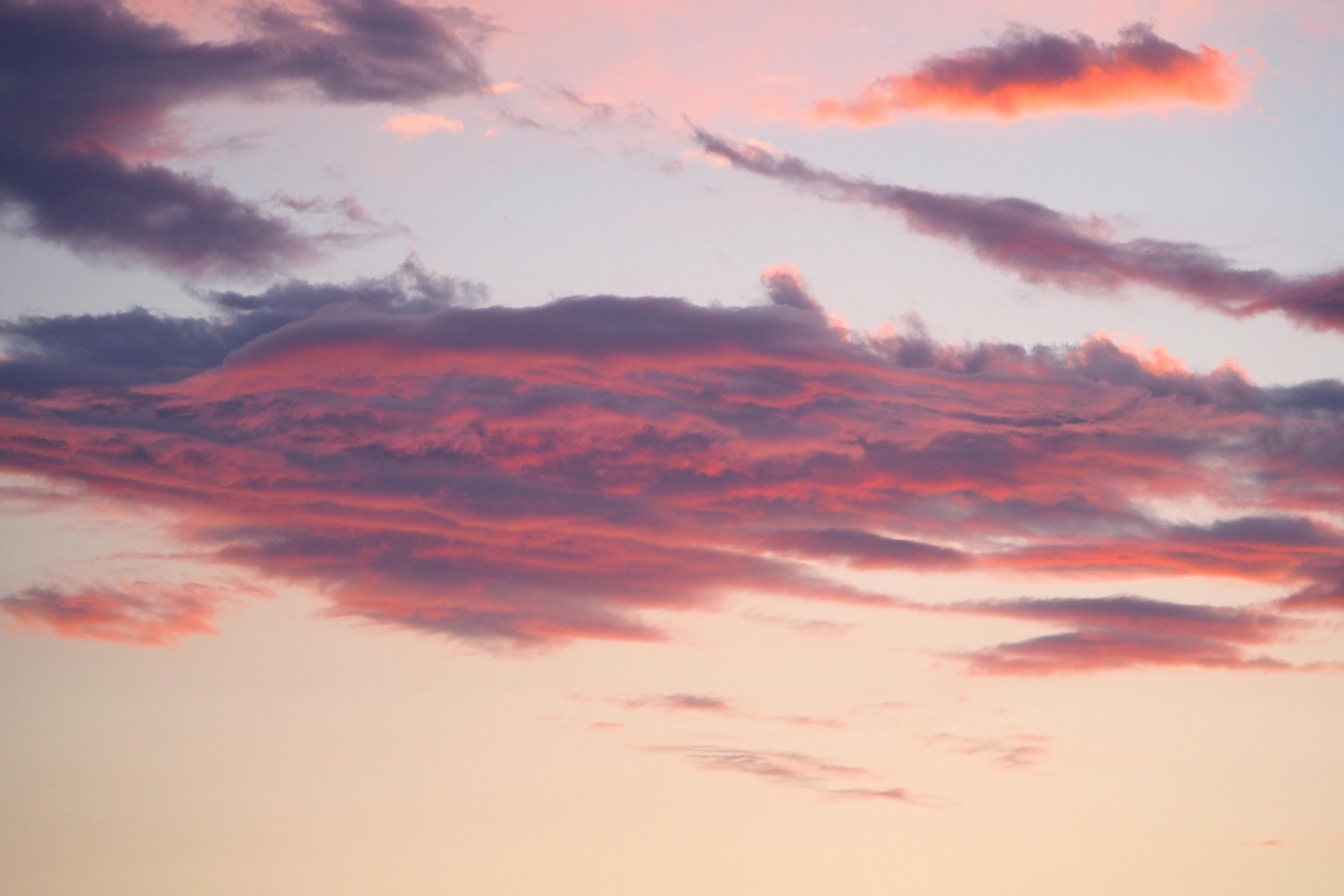 Beautiful cotton candy clouds at sunset over Treasure Island, FL.