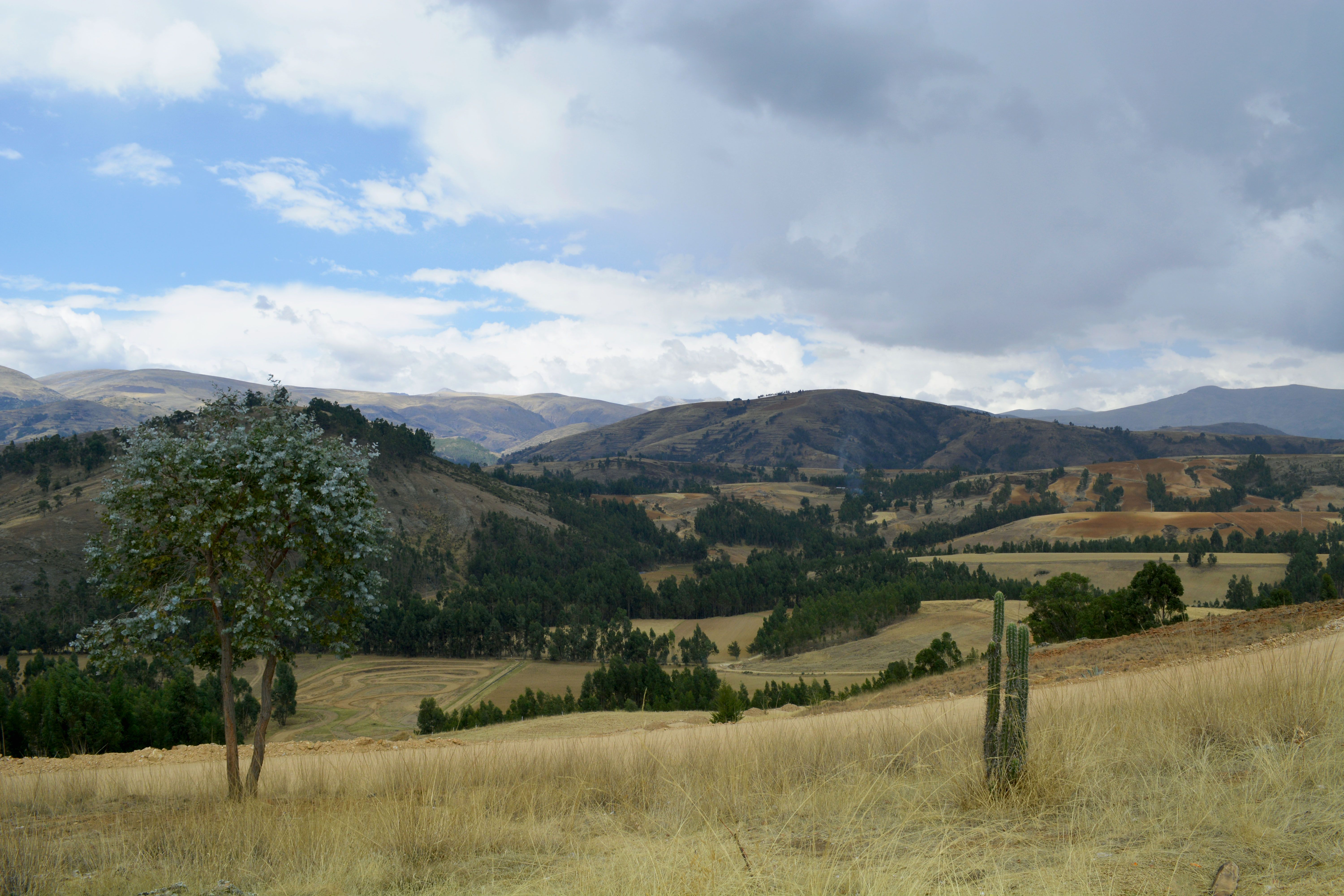 10 Day 'Body Renewal' Detox & Wellness Retreat, Peru 3
