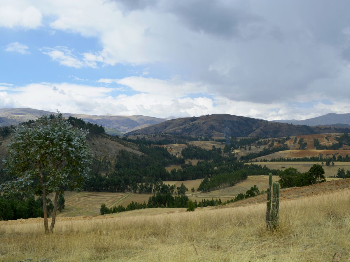 10 Day 'Body Renewal' Detox & Wellness Retreat, Peru 3