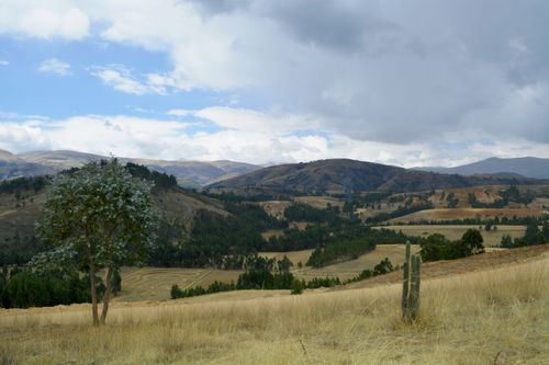 Free Beautiful view of a lush mountain landscape with scattered trees and rolling hills under a cloudy sky. Stock Photo