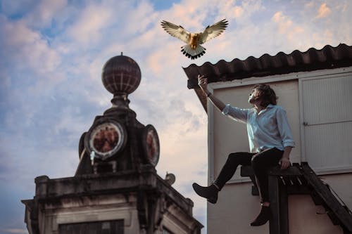 Free Man Reaching for Eagle Stock Photo