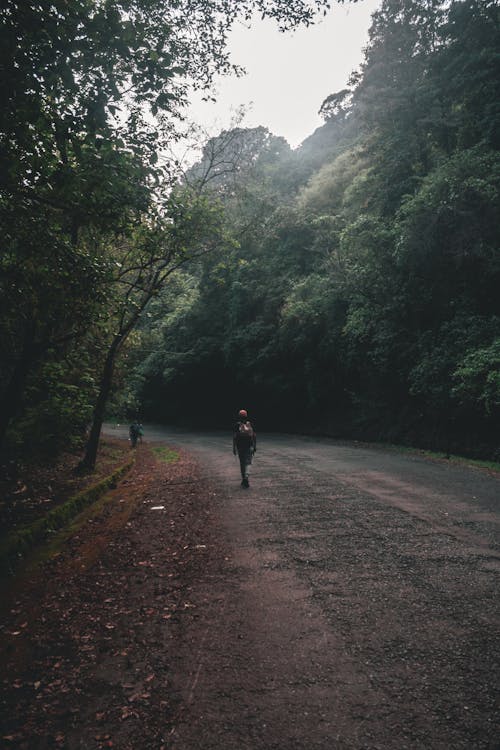 Person Walking on Side of the Road