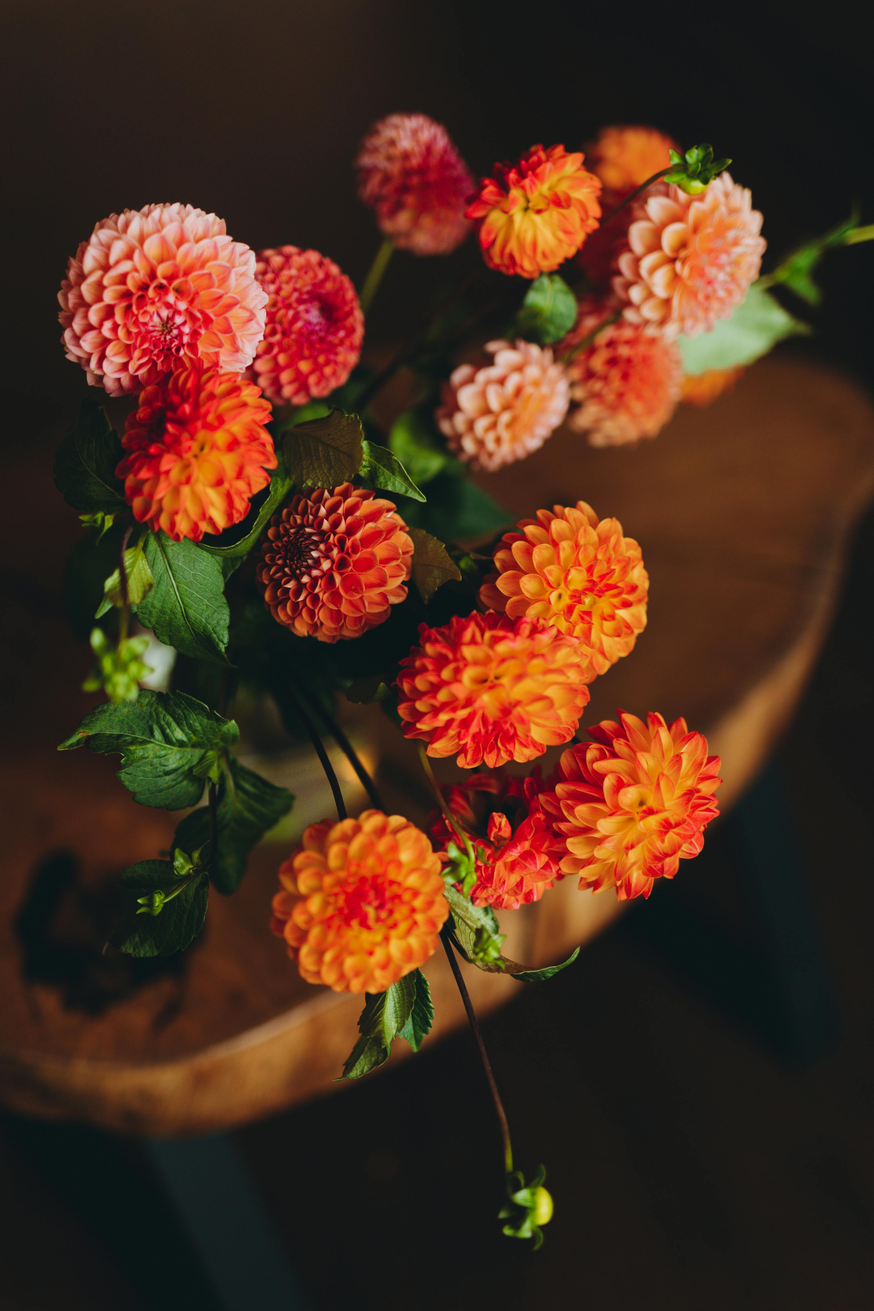 Colorful dahlia flowers elegantly arranged on a wooden table, showcasing autumn hues.