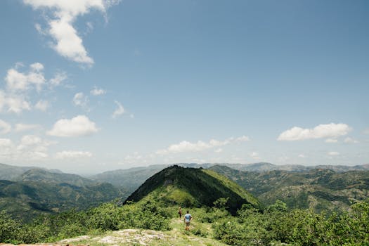 夏日晴朗，绿树成荫