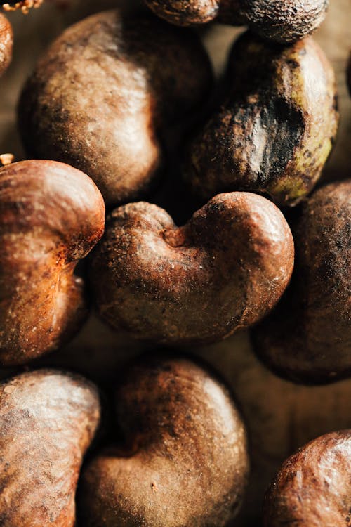 Free Kidney Beans Stock Photo