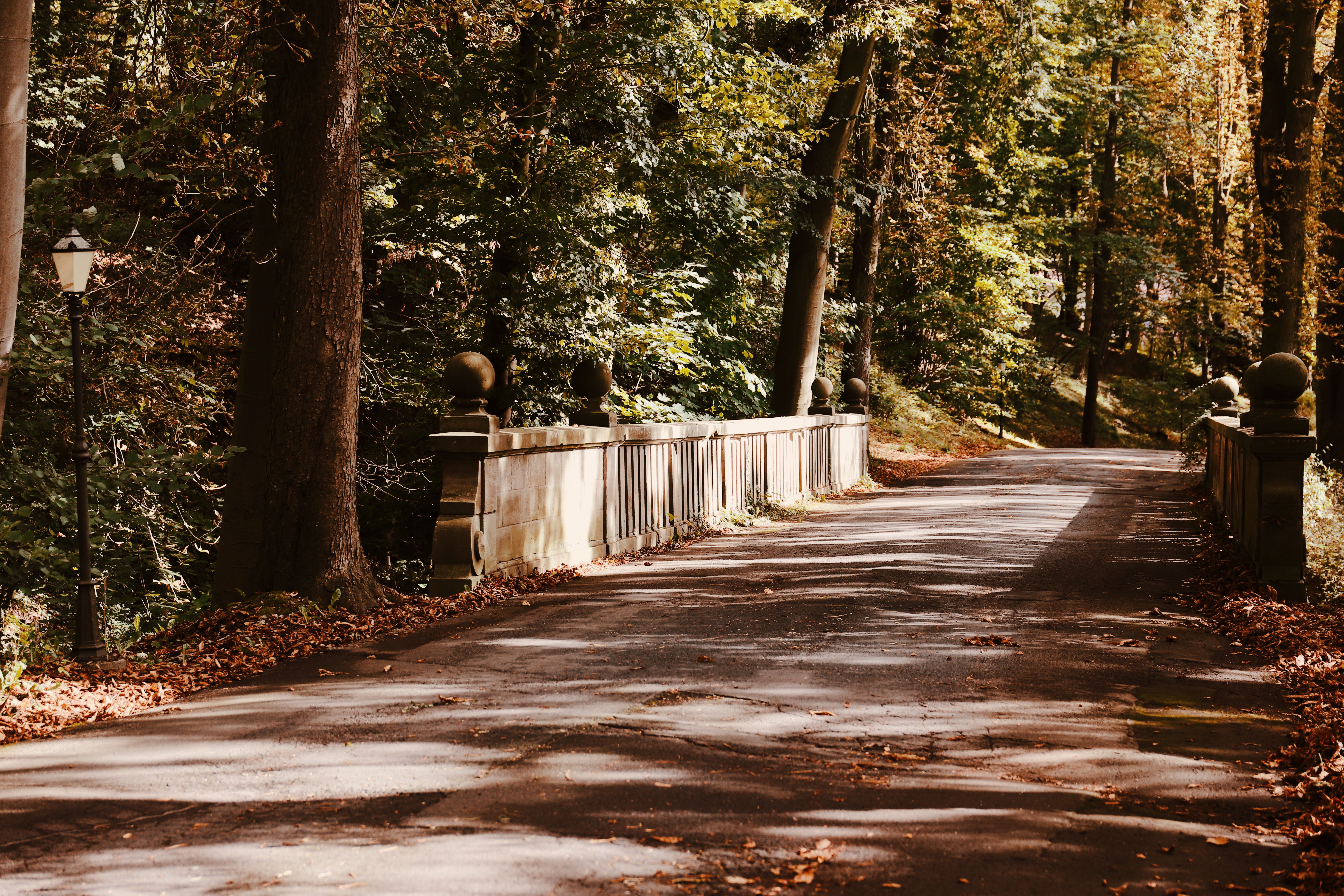 Charming Autumn Bridge in Serene Forest Setting · Free Stock Photo
