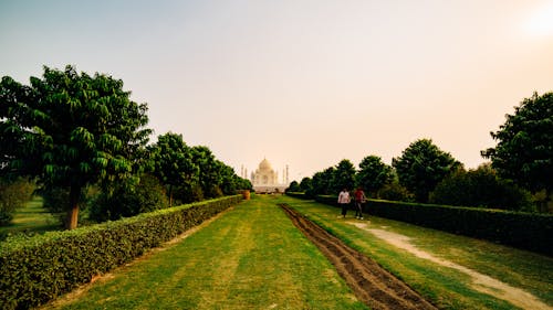 Taj Mahal I Green Grassy Walkway