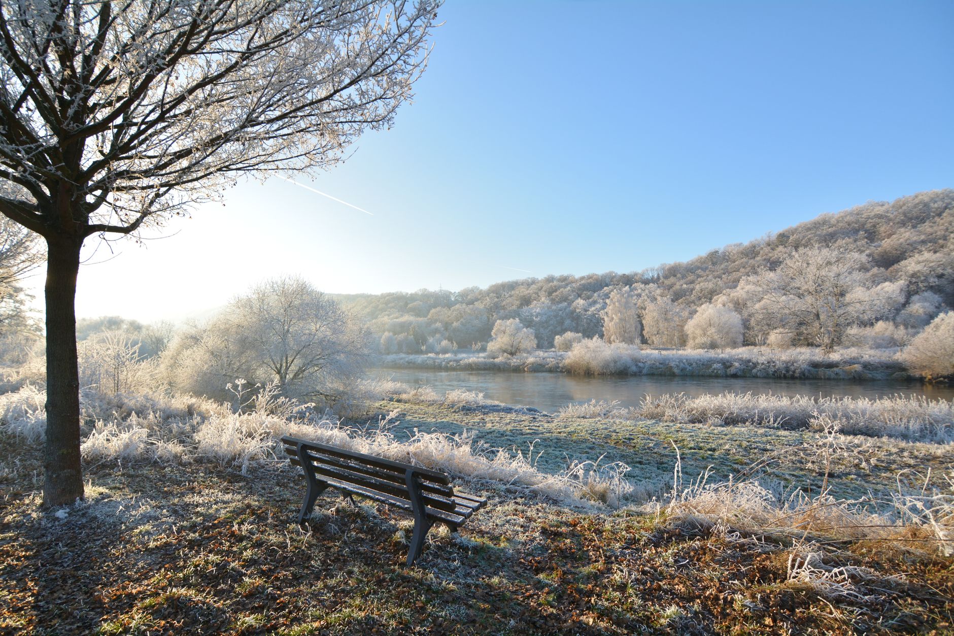 Sobrevivir tu Primer Invierno en Alemania