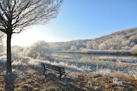 德国富尔达布鲁克的冬日宁静，绿树成荫，湖边设有长凳