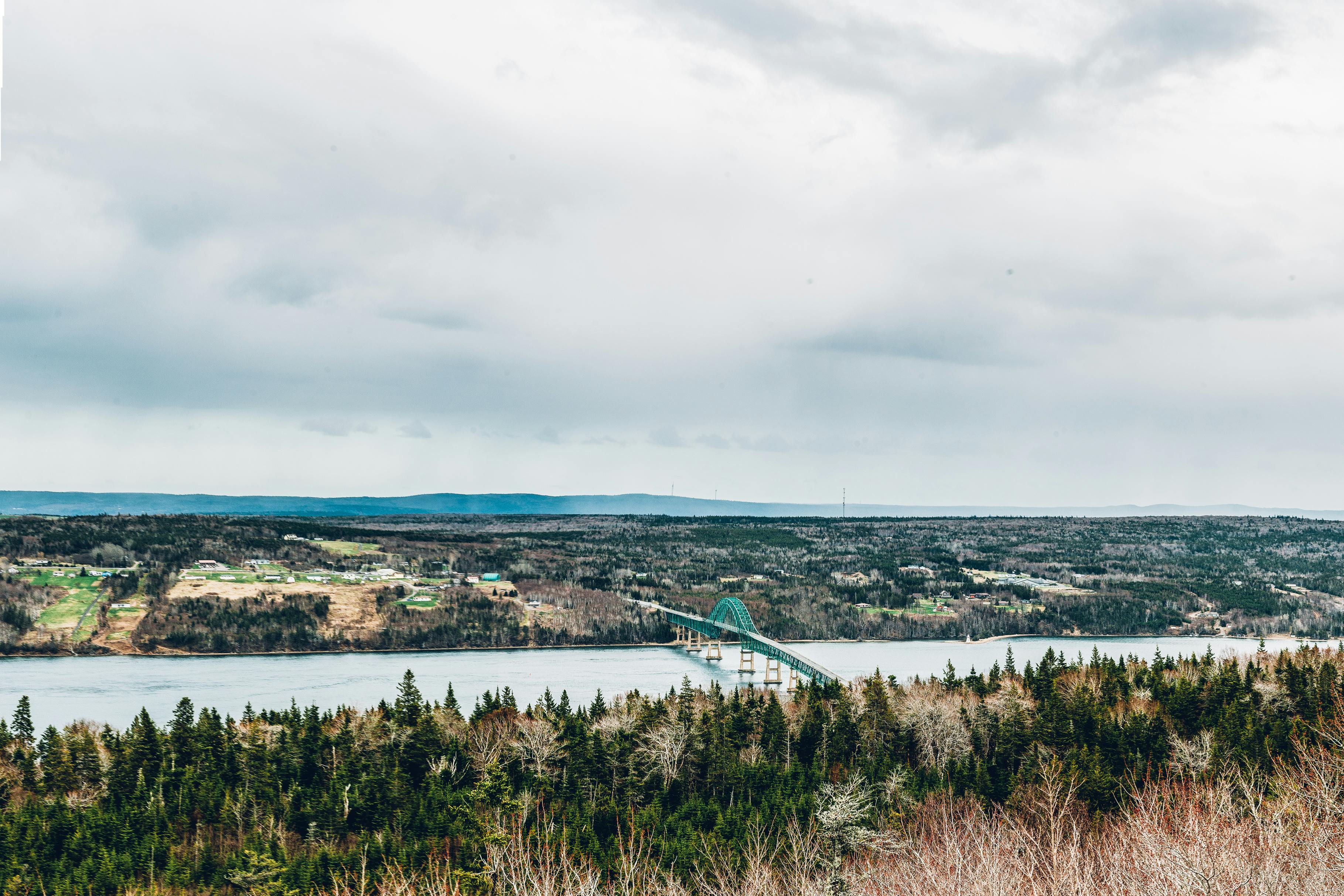 乡村景观郁郁葱葱，令人惊叹，宁静的河上有一座桥