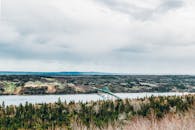 乡村景观郁郁葱葱，令人惊叹，宁静的河上有一座桥