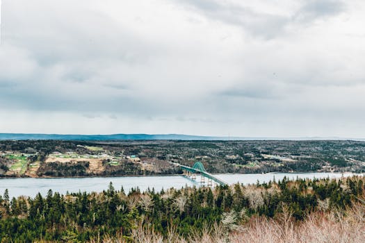 乡村景观郁郁葱葱，令人惊叹，宁静的河上有一座桥