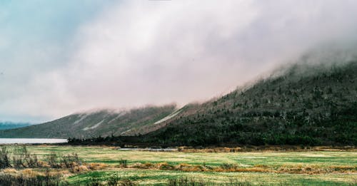 小山附近的綠草