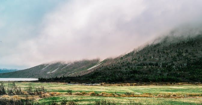 黎明时分，雾蒙蒙的山地和宁静的绿色田野，唤起一种和平与自然之美