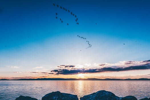 Dramatic sunrise over a tranquil lake with birds flying in the sky, offering a peaceful and scenic view.