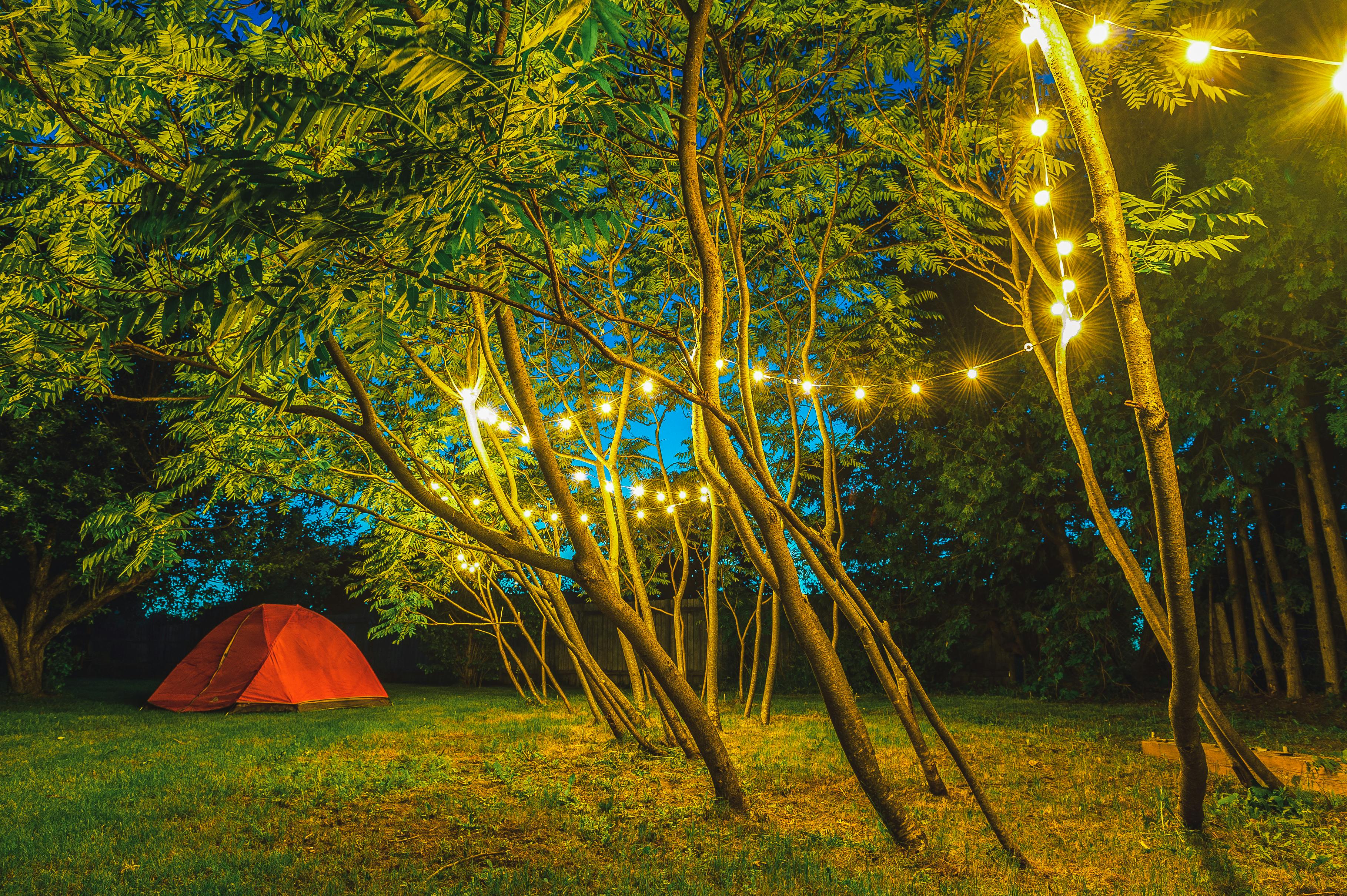 String Lights Hanging on Trees Near Dome Tent · Free Stock Photo