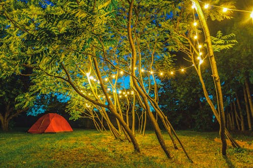 String Lights Opknoping Op Bomen In De Buurt Van Koepeltent