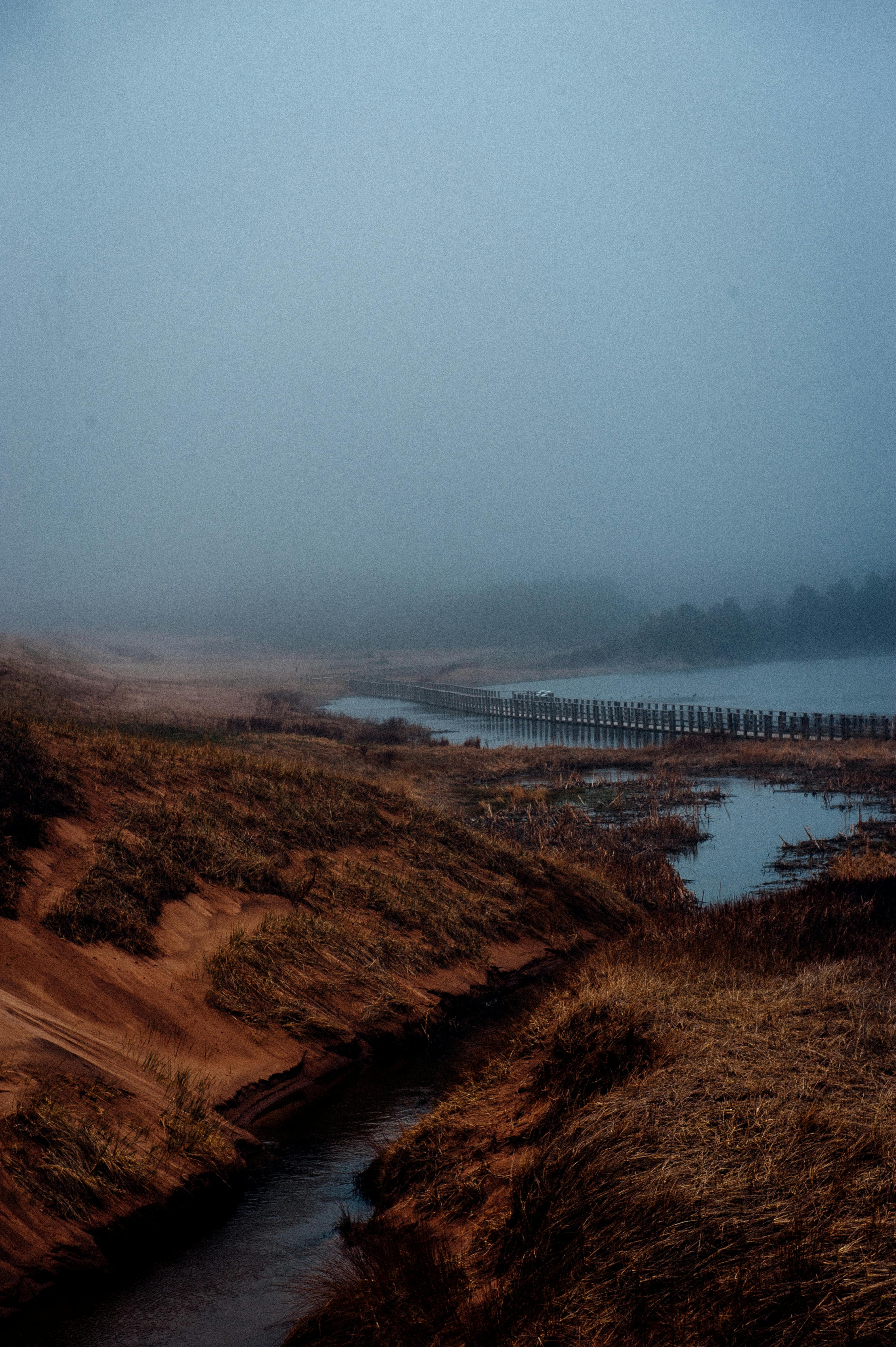 雾气缭绕的河流旁绿草如茵，营造出宁静的氛围
