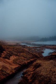 雾气缭绕的河流旁绿草如茵，营造出宁静的氛围