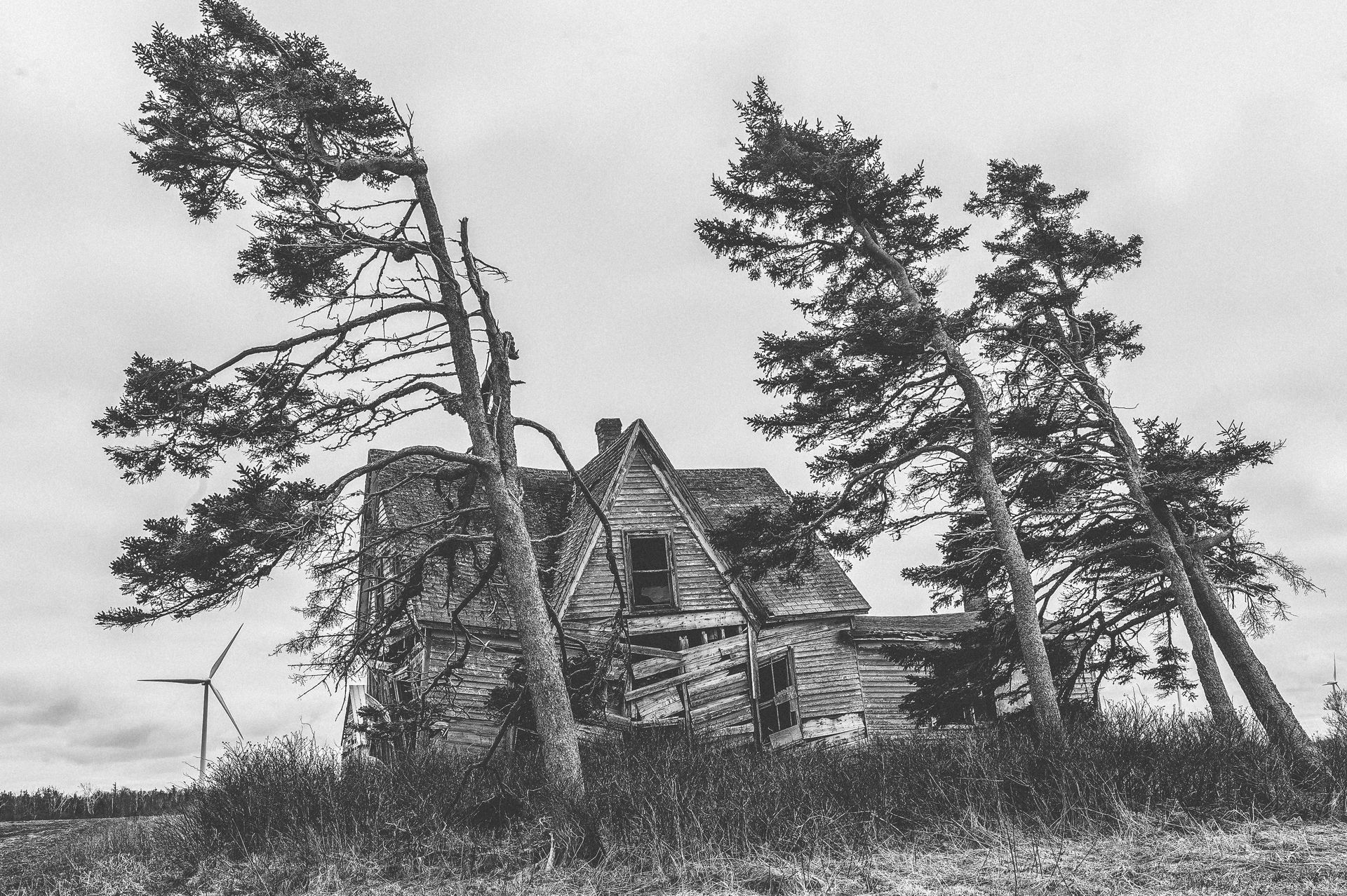 Grayscale Photography of Trees and House