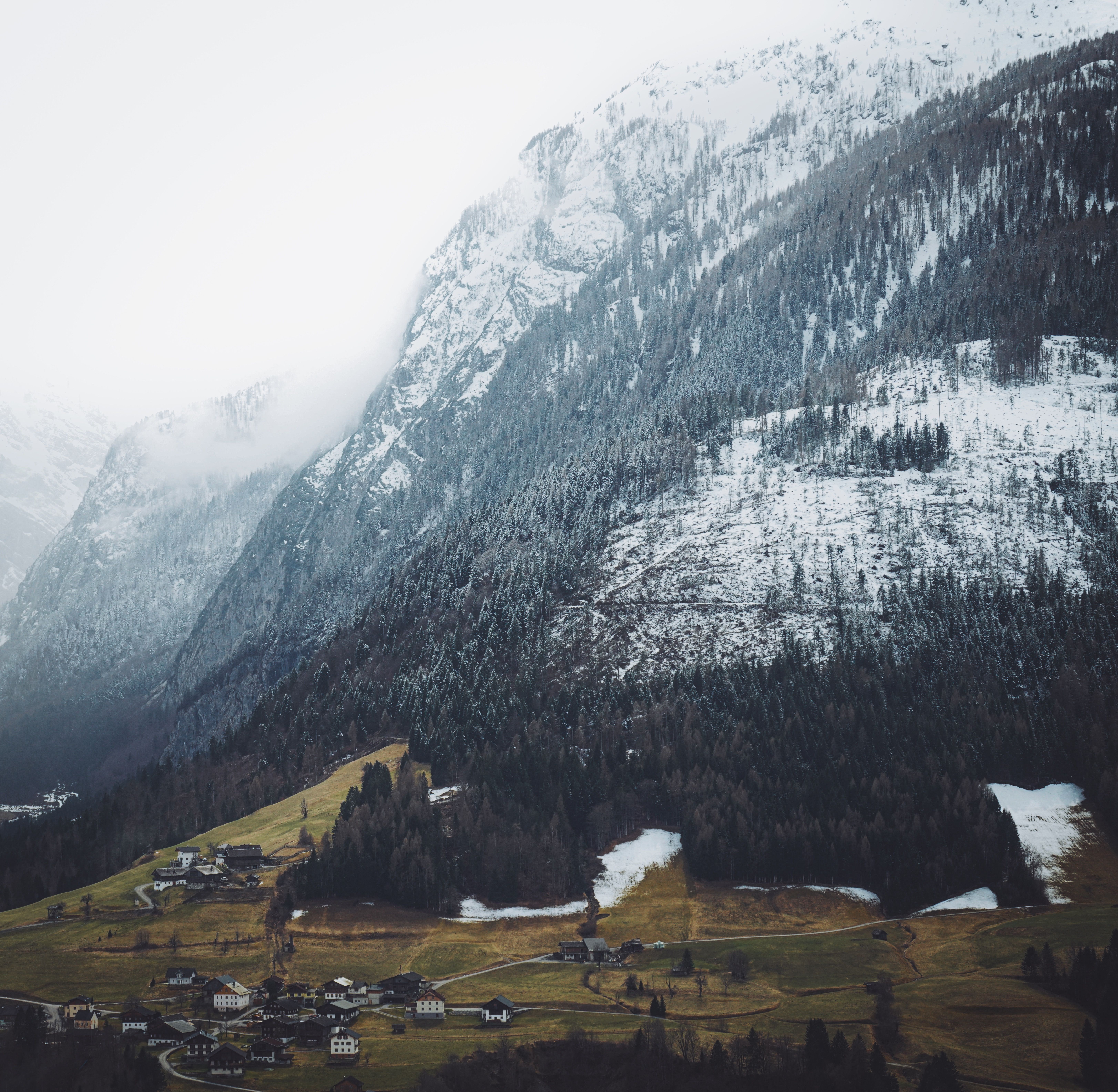2 Day Ayahuasca Premium Retreat Small Groupe, Switzerland 3