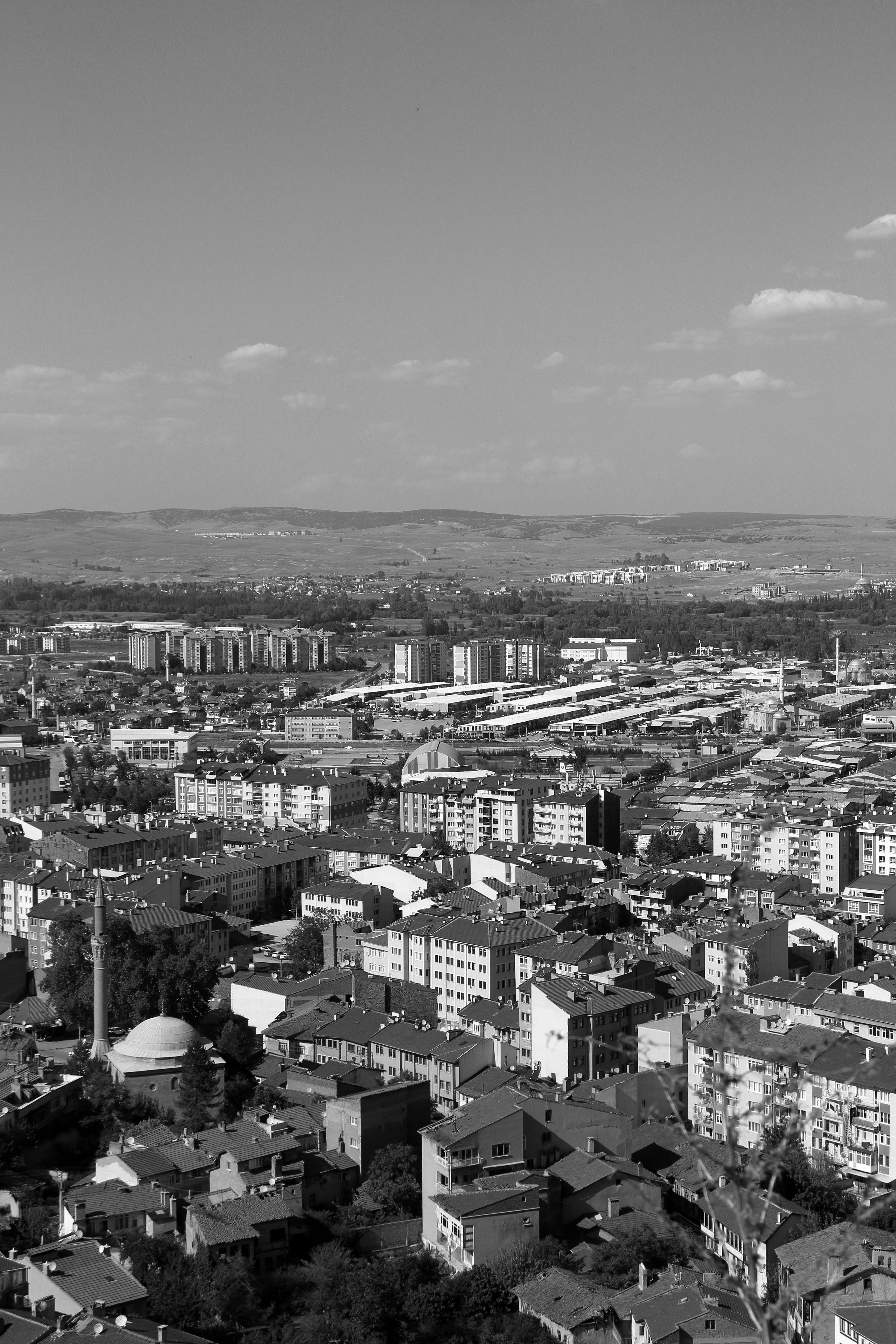Black and White Urban Cityscape with Mosque View · Free Stock Photo