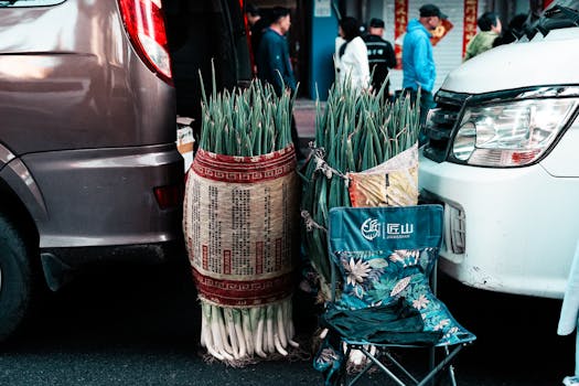 Colorful street market scene with fresh onions, parked van, and folding chair.