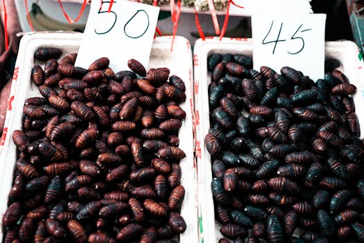 Close-up of silkworm pupae displayed in trays at a market, priced per unit.