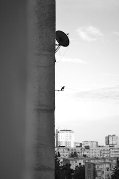 Black and white view of a bird perched on a wire in front of city buildings, artistic aesthetic.