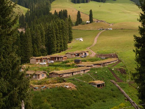 Quaint wooden houses nestled in a lush green mountain valley, perfect for nature exploration.