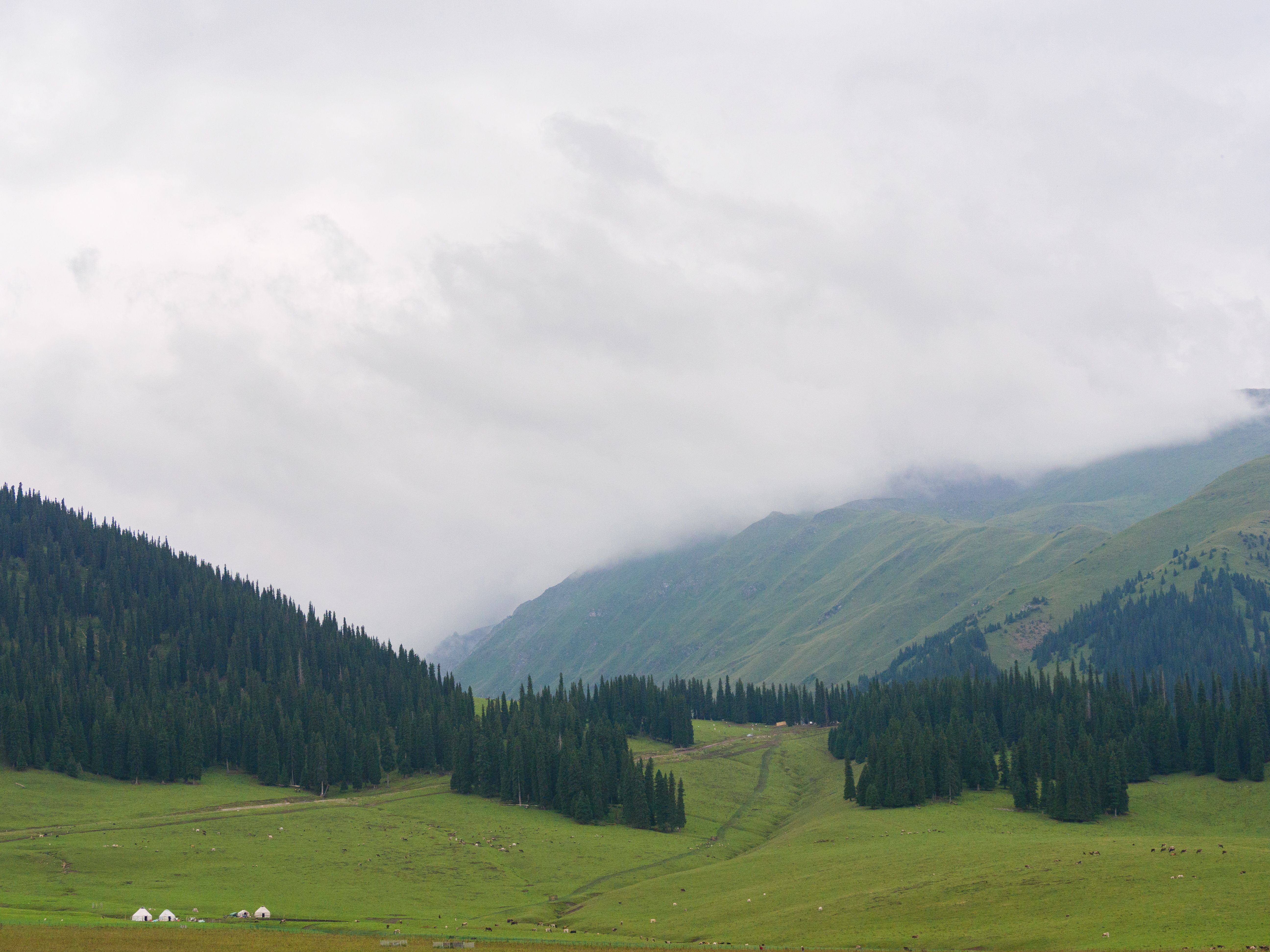 Bingzhongluo Yunnan Guide 2026: Nujiang Canyon's Remote Village & Pristine Wilderness