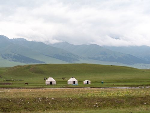 Free Scenic view of traditional yurts in Xinjiang's lush green grasslands under cloudy skies. Stock Photo