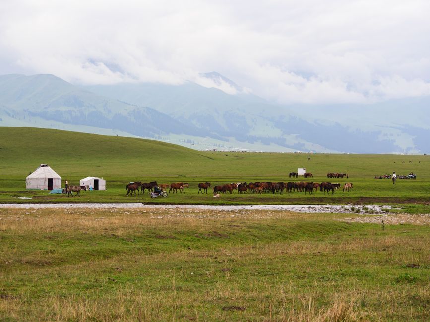 Beautiful landscape of traditional yurts and grazing horses in Xinjiang grasslands.
