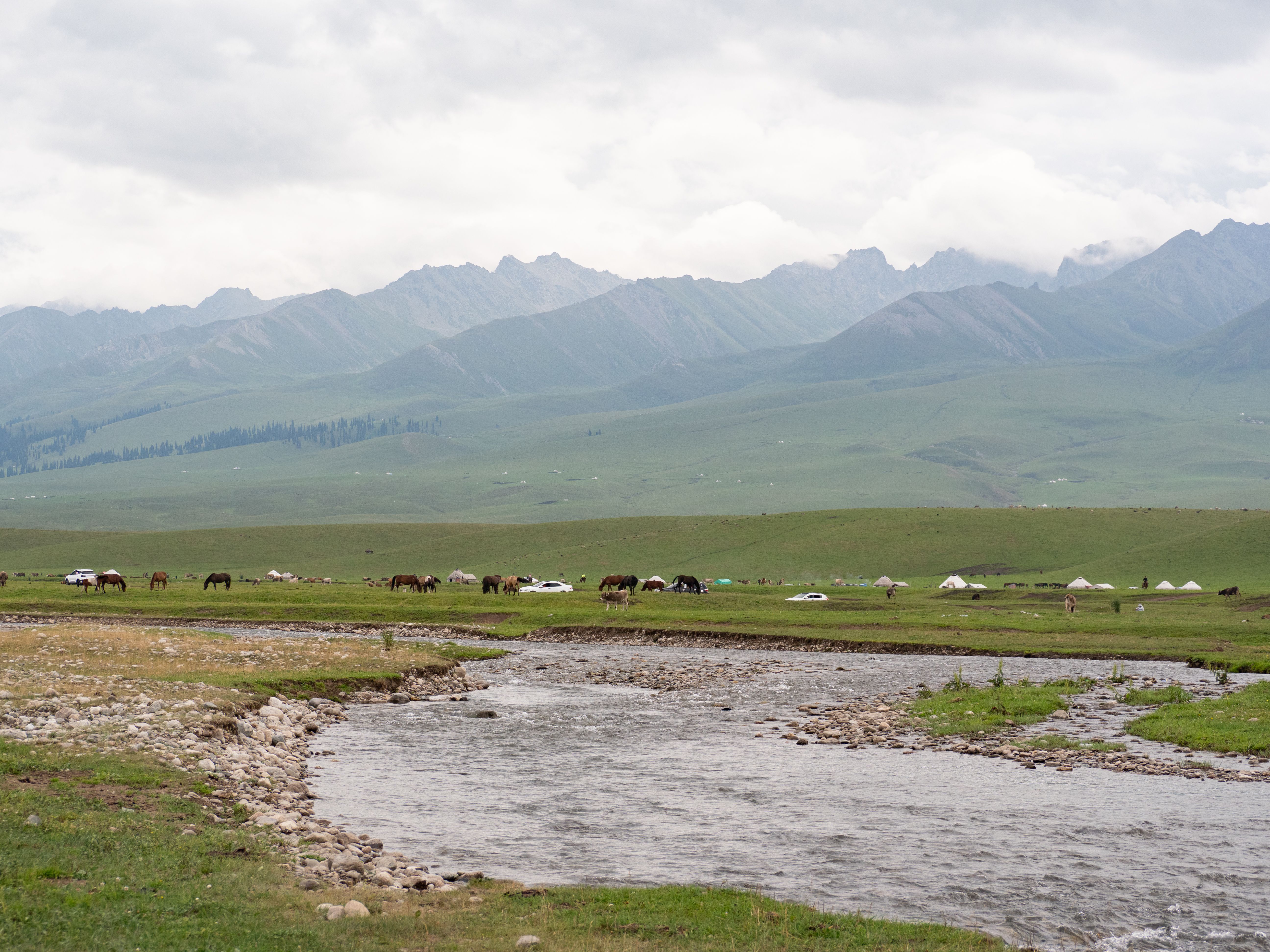Nalati Grassland Xinjiang — Why Nalati Over Other Xinjiang Grasslands