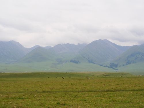 Free Vast grassland against the backdrop of Xinjiang mountains under a cloudy sky. Stock Photo