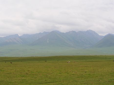Expansive grasslands with distant mountains under a cloudy sky, perfect for travel themes.