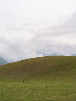Serene landscape of lush grassland hills with an overcast sky in the background, perfect for travel inspiration.