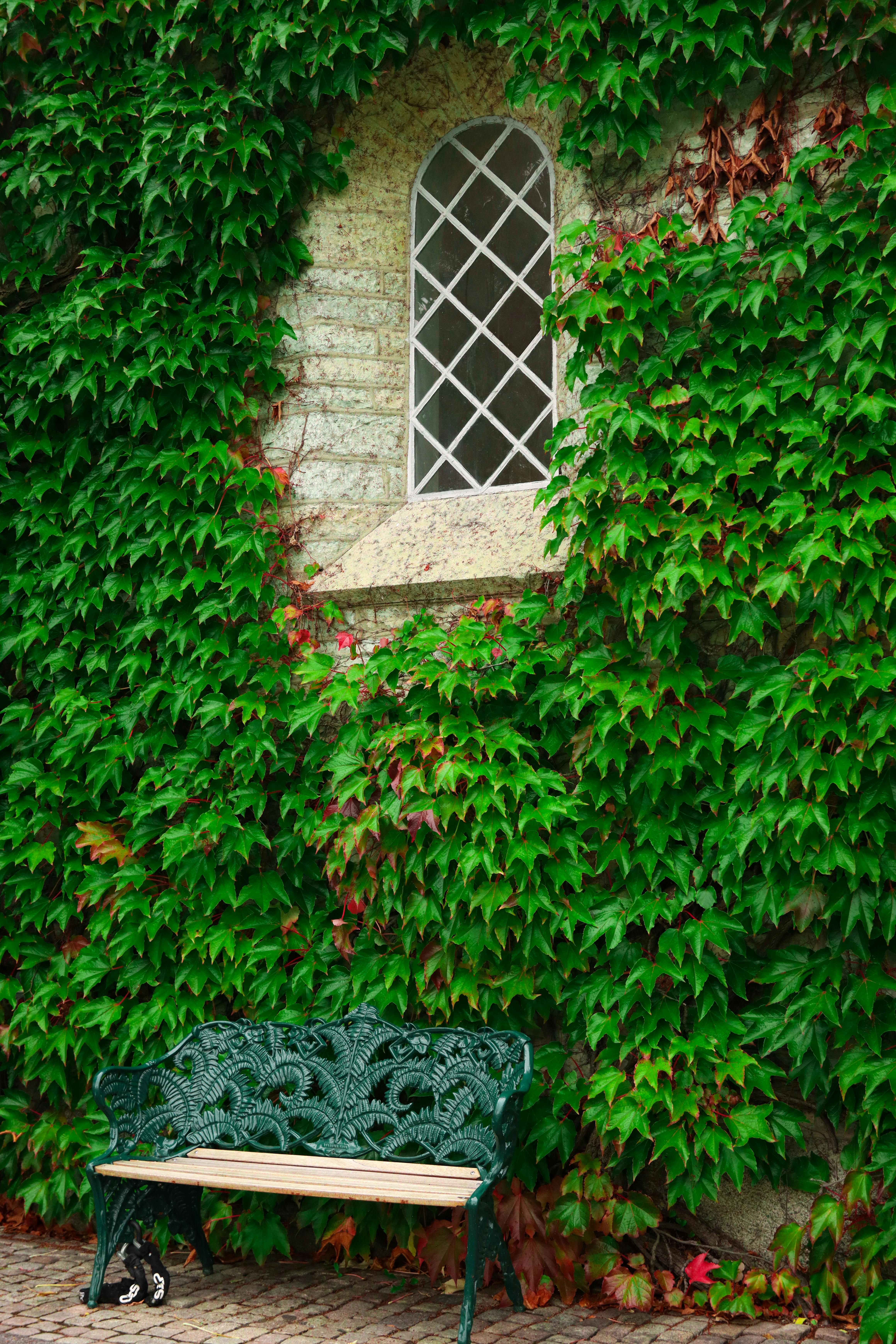 charming ivy covered building with bench in jonkoping