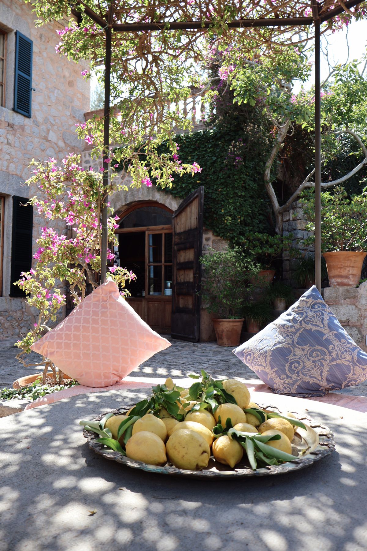 A charming Spanish courtyard with lemons and flowers in Ibiza