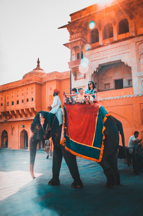 Δωρεάν στοκ φωτογραφιών με amber fort, jaipur, Άνθρωποι