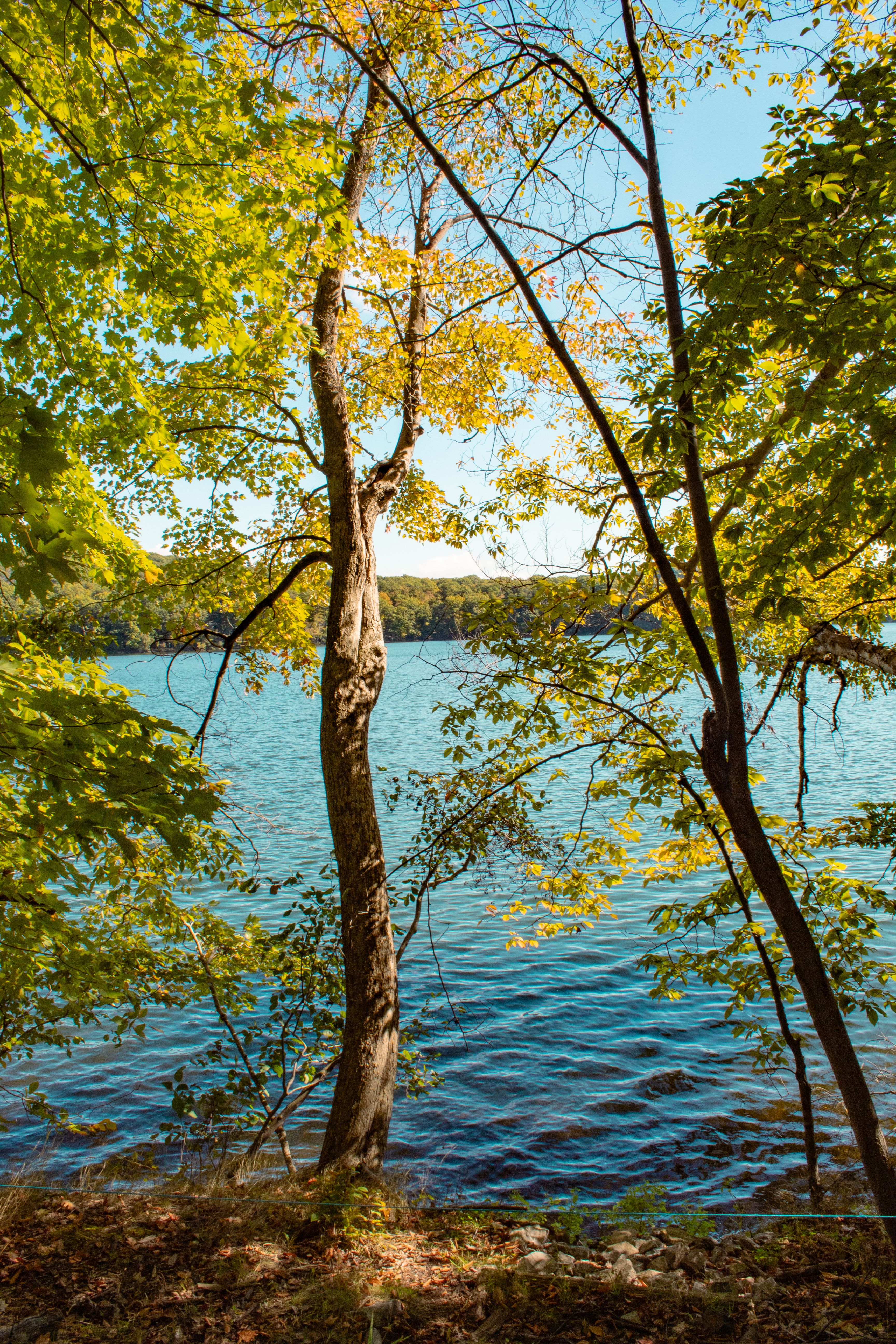 Tranquil lake scene framed by vibrant autumn trees in Saint-Bruno-de-Montarville, QC, Canada.