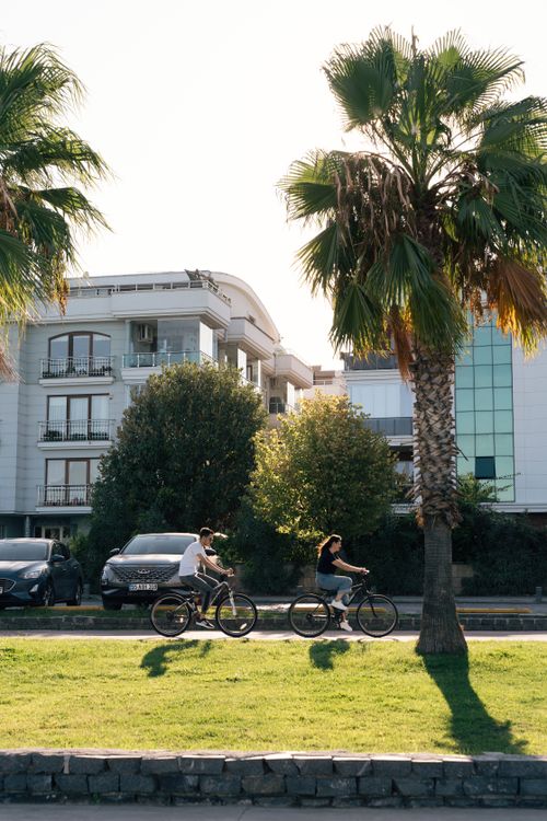 Free Two people biking in a modern city setting with palm trees. Urban lifestyle and outdoor recreation. Stock Photo