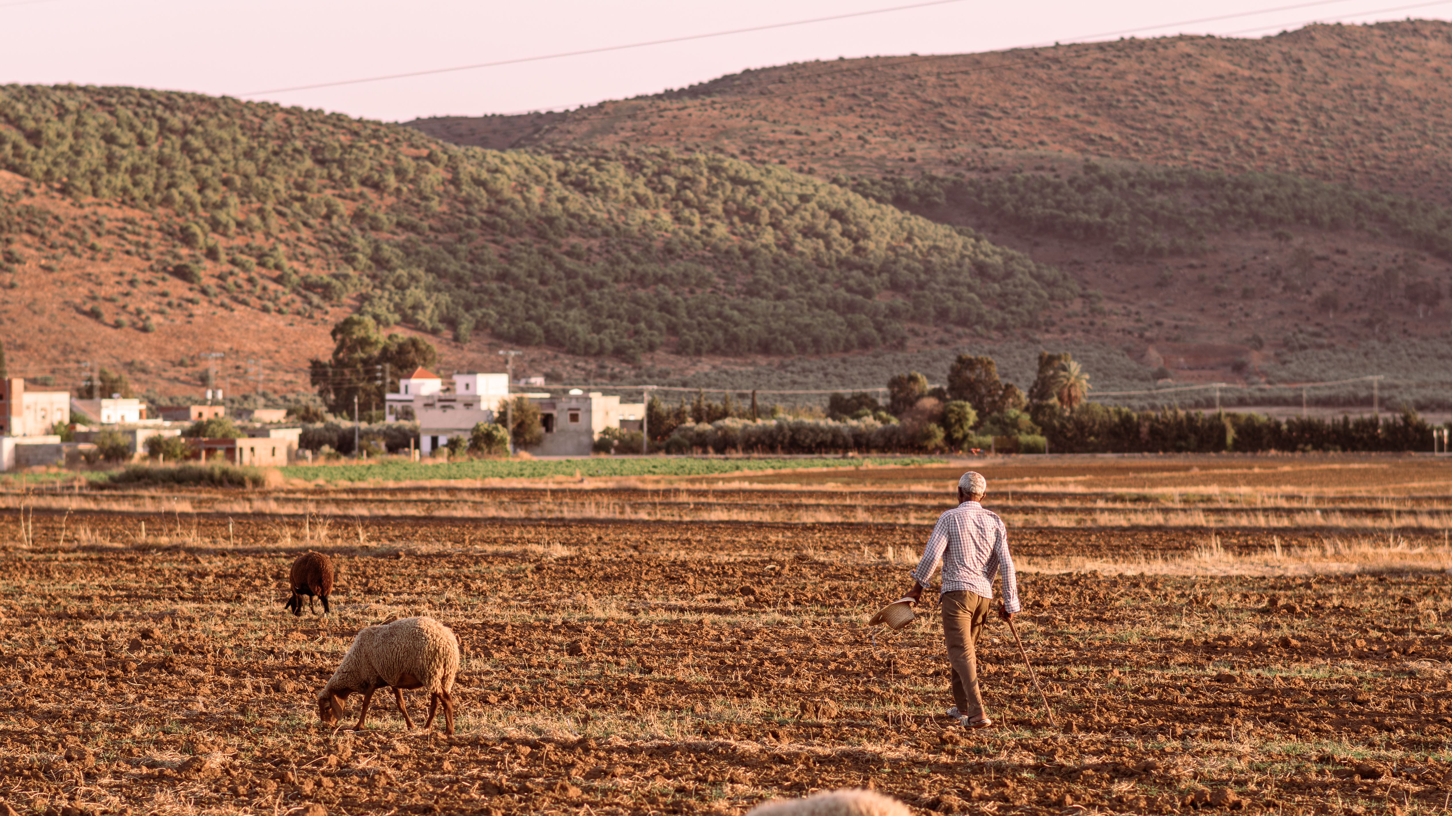 Algeria: industrial CSR reducing emissions and strengthening responsible supplier networks