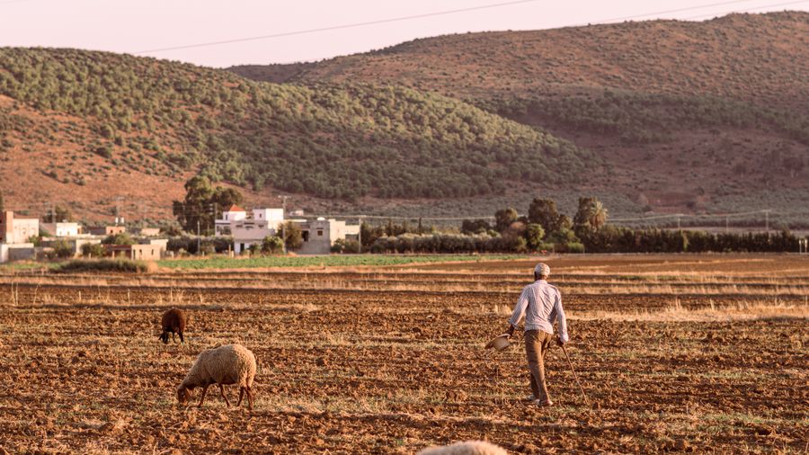 Formation agricole