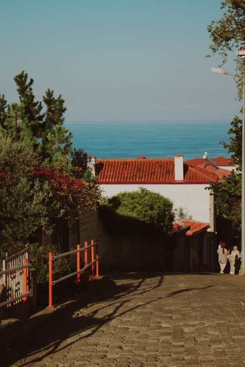 Free Serene view down a hill towards a coastal village with a blue ocean backdrop. Stock Photo