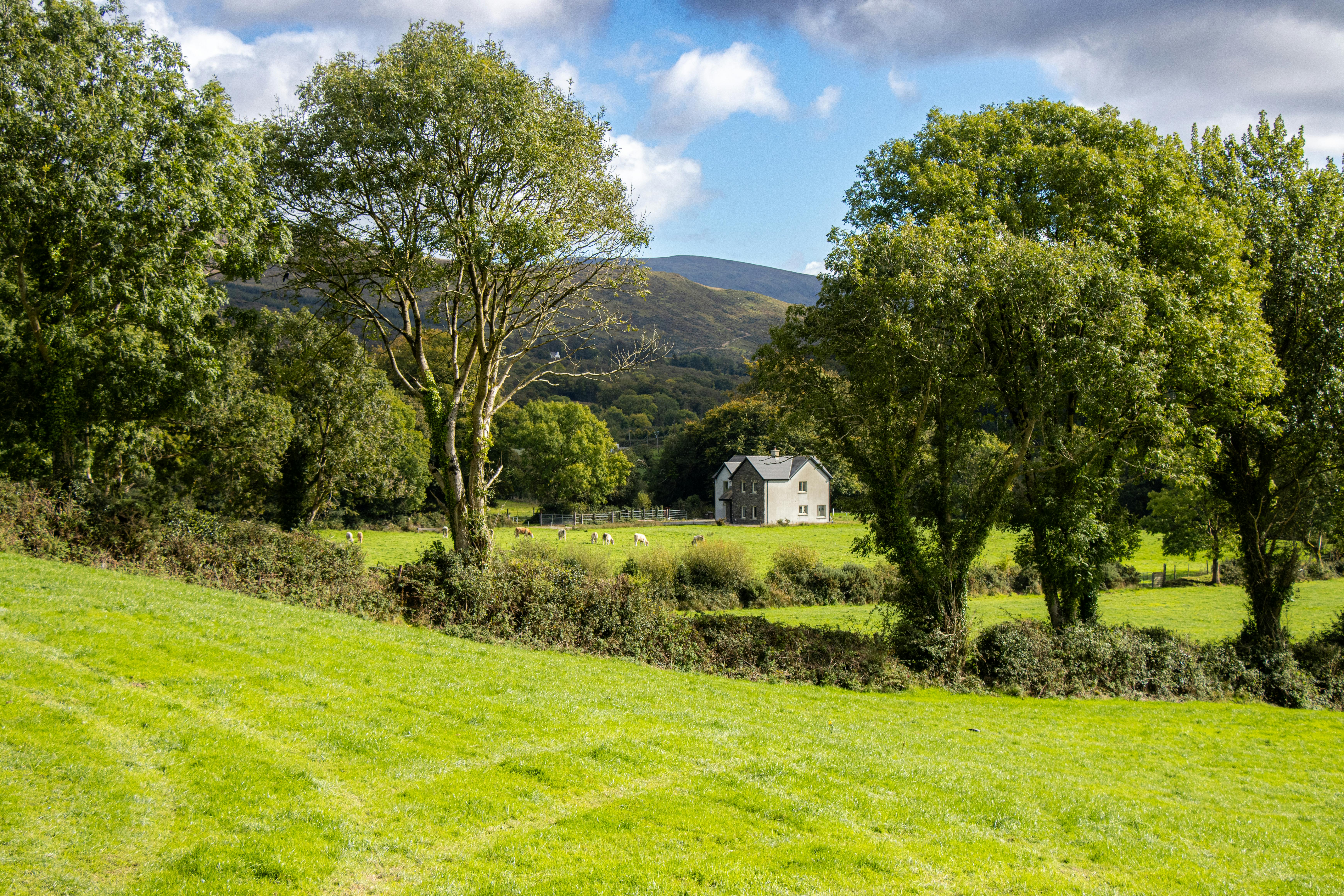Landmarks in Kenmare
