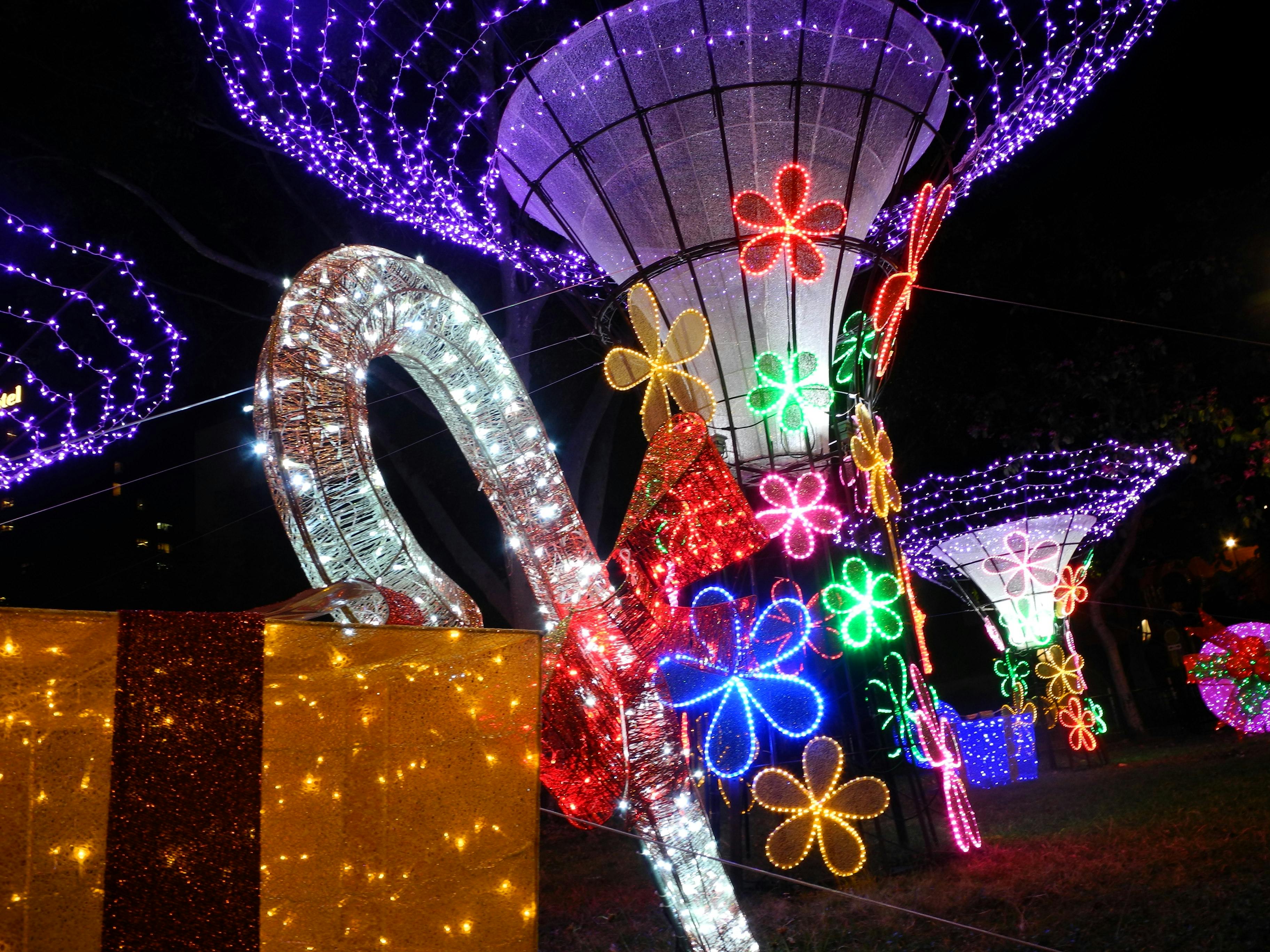 Free stock photo of christmas, light